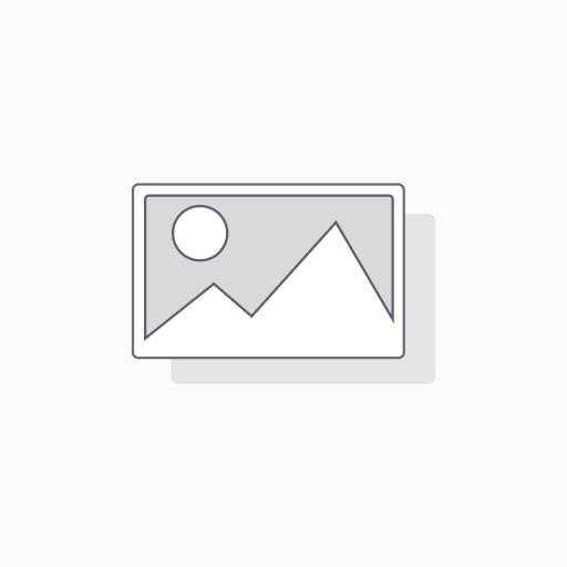 Design Partner